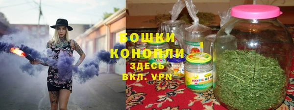 ешки Бронницы